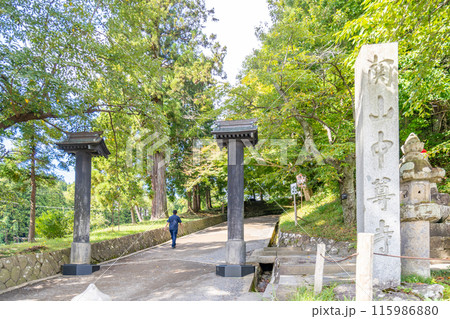 中尊寺 参道 江戸時代に植樹された樹齢300年の老杉が木陰を作り参拝客を迎え荘厳な雰囲気 中尊寺 参道 江戸時代に植樹された樹齢300年の老杉が木陰を作り参拝客を迎え荘厳な雰囲気 115986880