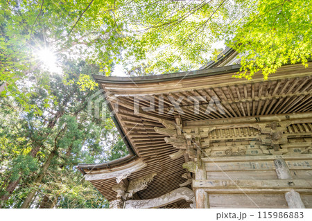 中尊寺　弁慶堂　もみじ　義経・弁慶の木像を安置　堂内の格天井には60種余りの草花が描かれています 115986883
