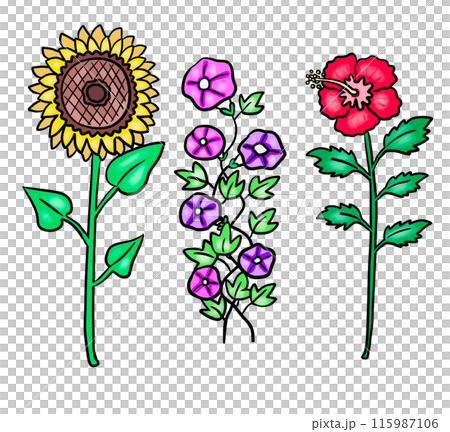 夏季花卉插畫 夏季花卉插畫 115987106