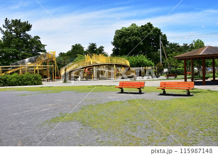 海老名市 神奈川県立相模三川公園のわくわくランドとふれあい広場 海老名市 神奈川県立相模三川公園のわくわくランドとふれあい広場 115987148