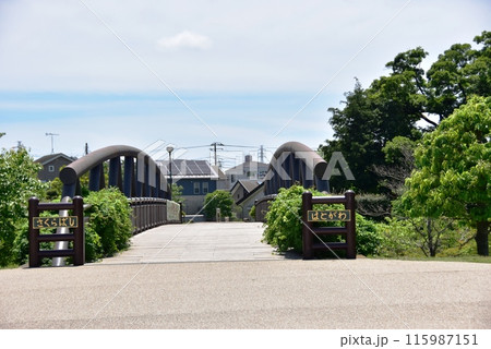 海老名市　神奈川県立相模三川公園の鳩川さくら橋 115987151