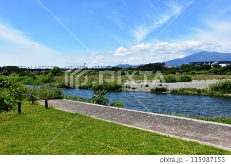海老名市　神奈川県立相模三川公園散策路と相模川と大山と横須賀水道橋 115987153