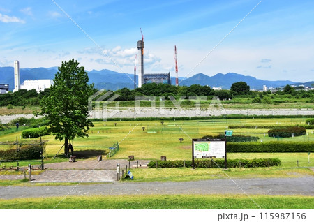 海老名市　神奈川県立相模三川公園の散策路とパークゴルフ場 115987156