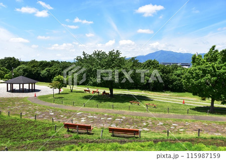 海老名市　神奈川県立相模三川公園の散策路と東屋と大山 115987159