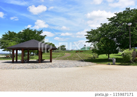 海老名市　神奈川県立相模三川公園の散策路と東屋 115987171