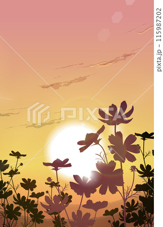夕暮れ時のコスモス畑のイラスト 夕暮れ時のコスモス畑のイラスト 115987202