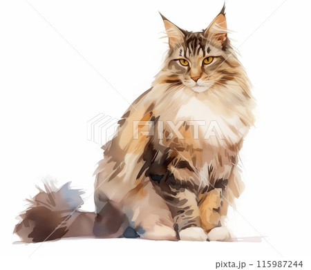 水彩画メインクーン猫イラスト 115987244