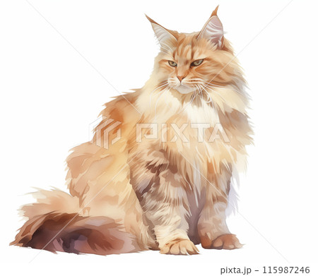 水彩画メインクーン猫イラスト 115987246