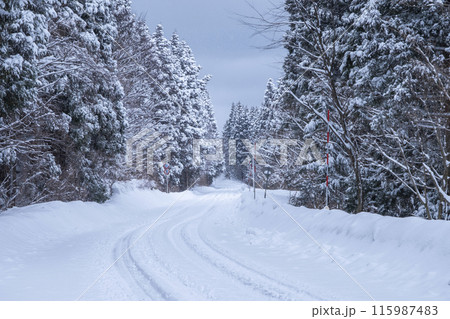 雪道　アイスバーン（大山鏡ヶ成付近） 115987483