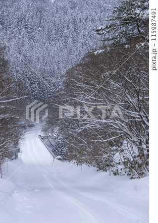 雪道 アイスバーン(大山鏡ヶ成付近) 雪道 アイスバーン(大山鏡ヶ成付近) 115987491