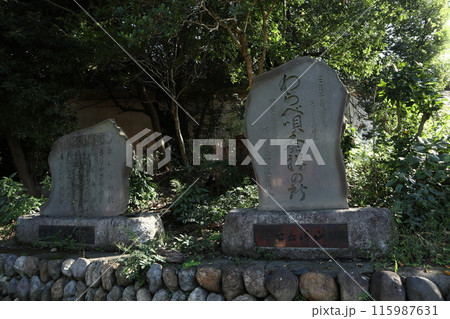 川越　三芳野神社 115987631