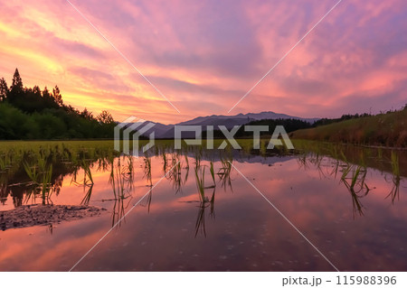 240523上野平z012 240523上野平z012 115988396