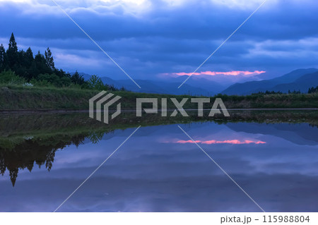 240526上野平z004 240526上野平z004 115988804