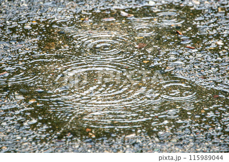 水溜まりにできた波紋 水溜まりにできた波紋 115989044