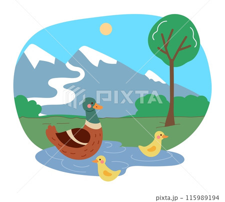 Cute animals. Water birds swimming in pond. Happy ducky family. Wild nature. Mountain landscape. Summer lake scenery. Park forest. Ducklings folk. Cartoon yellow duck chicks. Vector wildlife scene Cute animals. Water birds swimming in pond. Happy ducky family. Wild nature. Mountain landscape. Summer lake scenery. Park forest. Ducklings folk. Cartoon yellow duck chicks. Vector wildlife scene 115989194