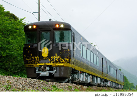 はなあかり登場 はなあかり登場 115989354