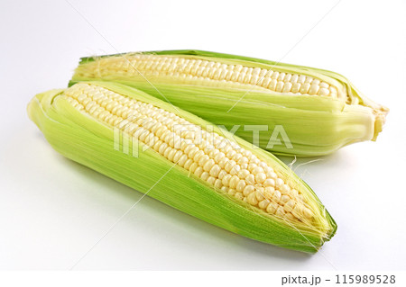 とうもろこし（しろい恵味） 115989528
