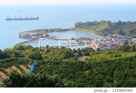 愛媛県松山市の興居島：高台から眺めた御手洗港 115989560