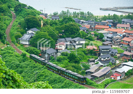 「はなあかり」が出てきました 「はなあかり」が出てきました 115989707