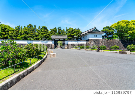 【東京都】初夏の新緑が綺麗な桜田門 115989797