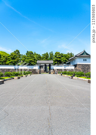 【東京都】初夏の新緑が綺麗な桜田門 【東京都】初夏の新緑が綺麗な桜田門 115989803