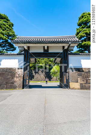 【東京都】初夏の新緑が綺麗な桜田門 【東京都】初夏の新緑が綺麗な桜田門 115989807
