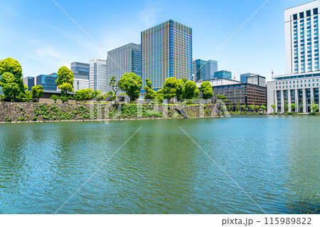 【東京都】緑が綺麗な丸の内のオフィス街と日比谷濠 【東京都】緑が綺麗な丸の内のオフィス街と日比谷濠 115989822