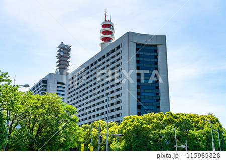 【東京都】初夏の新緑が綺麗な警視庁 115989828