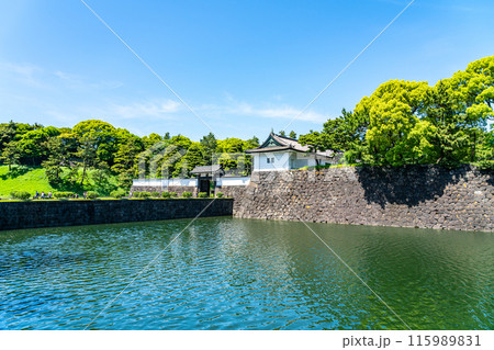 【東京都】初夏の新緑が綺麗な桜田門 【東京都】初夏の新緑が綺麗な桜田門 115989831