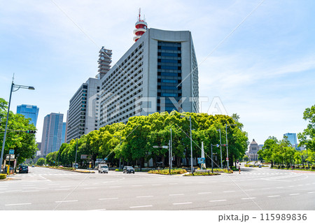 【東京都】初夏の新緑が綺麗な警視庁 115989836