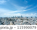 東京タワーと六本木のビル群　恵比寿ガーデンプレイスタワーからの街並み 115990079