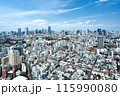 東京タワーと六本木のビル群　恵比寿ガーデンプレイスタワーからの街並み 115990080