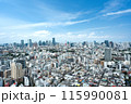 東京タワーと六本木のビル群　恵比寿ガーデンプレイスタワーからの街並み 115990081