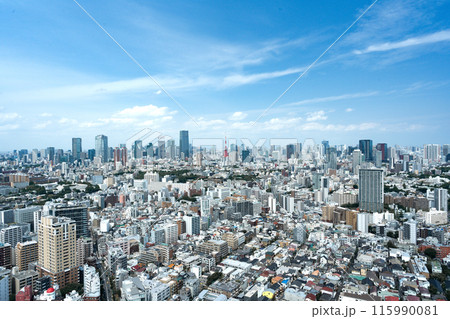 東京タワーと六本木のビル群 恵比寿ガーデンプレイスタワーからの街並み 東京タワーと六本木のビル群 恵比寿ガーデンプレイスタワーからの街並み 115990081
