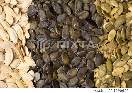 Unpeeled and peeled pumpkin seeds close-up, top view. Unpeeled and peeled pumpkin seeds close-up, top view. 115990695