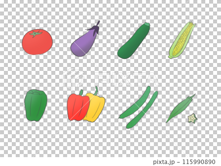 色彩繽紛的夏季蔬菜插圖 115990890