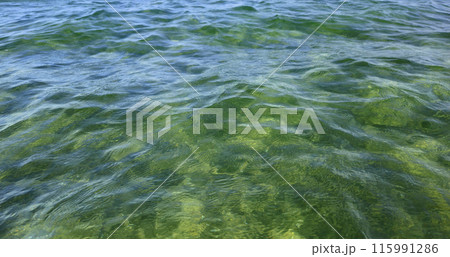 Beautiful wavy surface of clean and transparent turquoise sea water Beautiful wavy surface of clean and transparent turquoise sea water 115991286