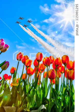 チューリップとブルーインパルスのコラボ。 115991295