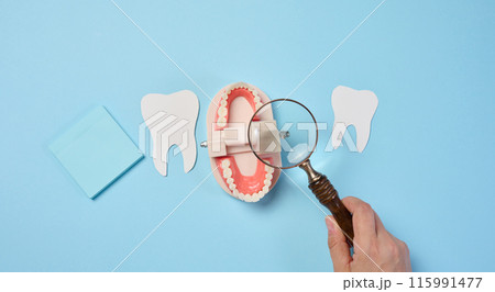 Plastic human jaw with white teeth and female hand with a magnifying glass, oral cavity prevention 115991477