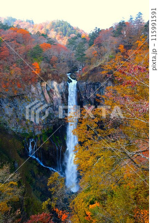 秋の華厳の滝 秋の華厳の滝 115991591