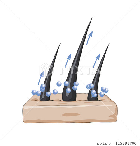 Minerals for healthy hair growth, vector illustration 115991700