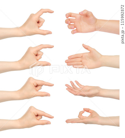 Set of Woman hands with stages of holding gestures, isolated on white background Set of Woman hands with stages of holding gestures, isolated on white background 115992872