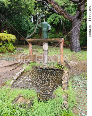 雨に濡れた井戸 115993091