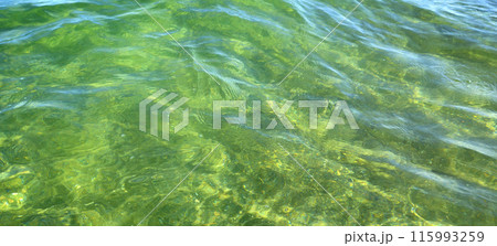 Beautiful wavy surface of clean and transparent turquoise sea water, natural background Beautiful wavy surface of clean and transparent turquoise sea water, natural background 115993259
