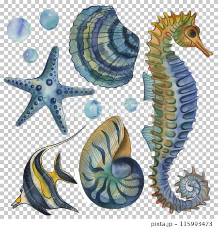 Seahorse, fish, shells, starfish, bubbles, blue, green, yellow. The illustration is hand-drawn in watercolor on a white background. For the design of posters, children's books, rooms, card, packaging. Seahorse, fish, shells, starfish, bubbles, blue, green, yellow. The illustration is hand-drawn in watercolor on a white background. For the design of posters, children's books, rooms, card, packaging. 115993473