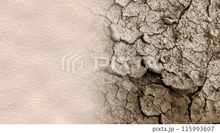 Dry dehydrated skin concept illustration. Comparison of normal healthy skin and dry cracked desert soil. Ad for skin care moisturizer cream or other cosmetic products Dry dehydrated skin concept illustration. Comparison of normal healthy skin and dry cracked desert soil. Ad for skin care moisturizer cream or other cosmetic products 115993607