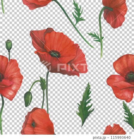 Watercolor pattern of red poppies. Hand drawn, isolated on white background. For invitations, textiles and decoration 115993640