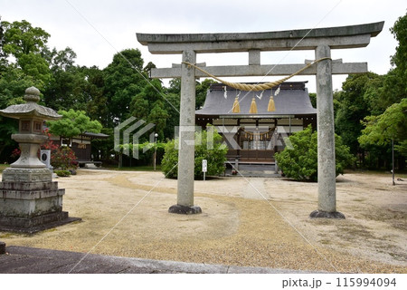 滋賀県高島市 藤樹神社中鳥居と拝殿 滋賀県高島市 藤樹神社中鳥居と拝殿 115994094