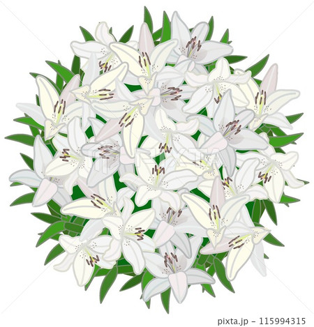 百合の花のリースのイラスト 百合の花のリースのイラスト 115994315