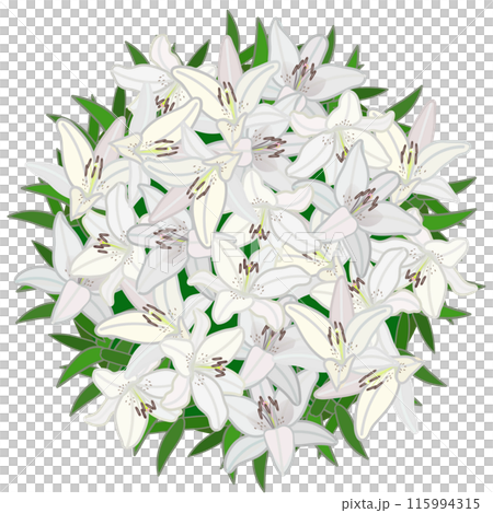 百合の花のリースのイラスト 百合の花のリースのイラスト 115994315